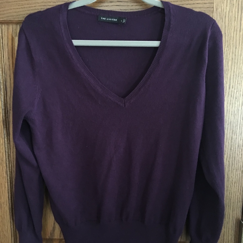 The Limited dark purple v-neck sweater